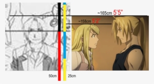 We Knew Ed Was 5′5″/165cm Post Northern Automail And - Edward Elric #1698967