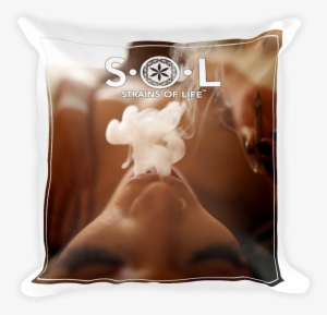 'satisfy Your S - Pillow #1699806