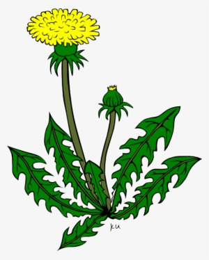 Garden Weed Clipart - Yellow Dandelion Clip Art #170246