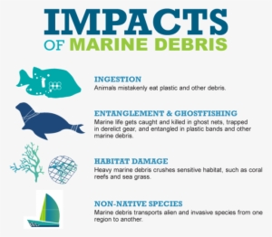 Impacts Of Marine Debris #170341