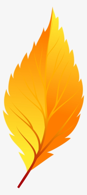 Yellow Autumn Leaf Png Clip Art - Transparent Background Autumn Leaf Clip Art #170619