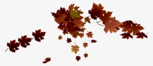 Leaves Png #170671