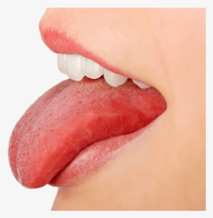 Free Png Tongue Png Images Transparent - Tongue Png #170770