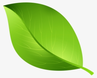 Green Leaf Transparent Png Clip Art Image - Leaf Clipart Transparent Background #170863