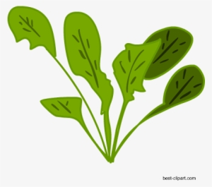 Picture Black And White Stock Free Vagetables Clip - Clip Art #171199