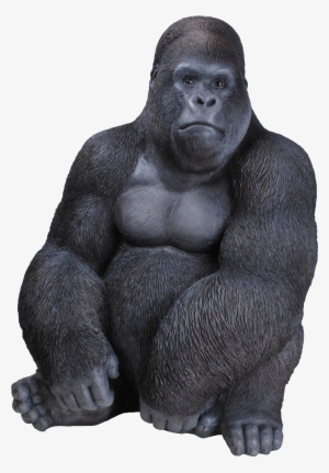 Rl Sitting Gorilla D - Vivid Art Gorilla #171380