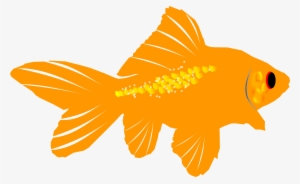 Clipart - Goldfish - Goldfish #171464