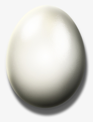 White Egg Png - Adobe Photoshop #171695