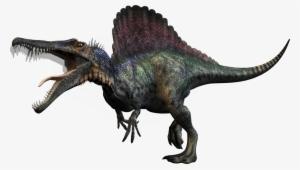 T Rex Spinosaurus Dinosaurs #172104