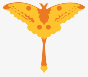 Krohn Butterfly Show - Television Show #172151