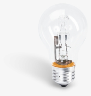 Awesome Benefits - Firearms License #172326