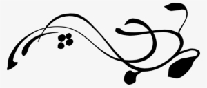 Drawn Vine Transparent - Transparent Vine Drawing #172332