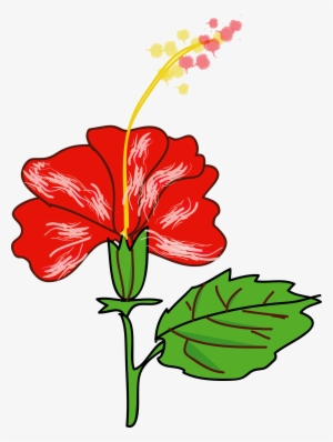 This Free Icons Png Design Of Flower Hibiscus #172480