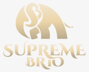 6/ - Graphic Design #172548