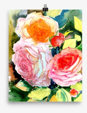 Bright And Floral Rose Watercolour Print Matte Poster - Watercolor Painting #172573