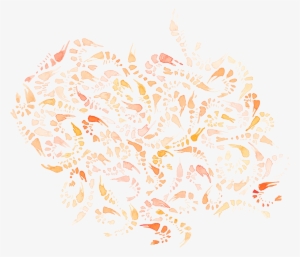 "shrimp\ - Illustration #173126