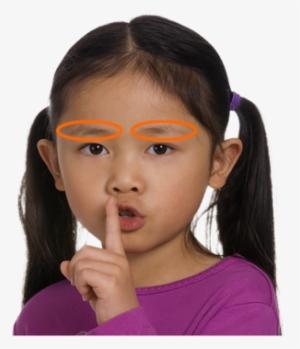 Eyebrows - Eye #173269