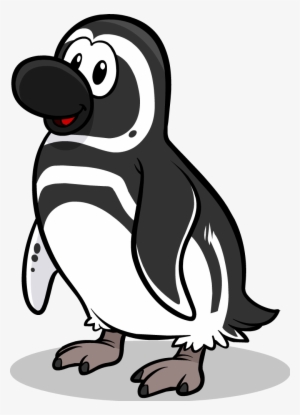 Magellanic Penguin - Club Penguin Black Footed Penguin #173445