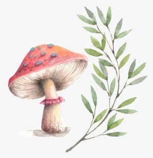 Hand Painted Mushrooms And Green Leaf Png #173449