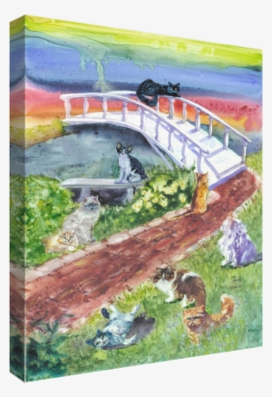 Rainbow Card Company Sc196ct 1 #173739