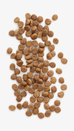 Feline Vantage™ Is 100% Guaranteed For Taste And Nutrition - Cat Food Png #174069