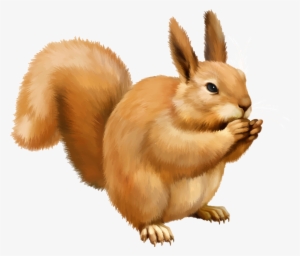 Squirrel Png - Белка Пнг #174092