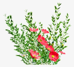 Garden Png Background Image - Flowers Garden Png #174171