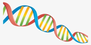 Dna Png Transparent Image - Dna Png #174215