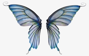 fairy wings png transparent fairy wings png image free download pngkey fairy wings png transparent fairy