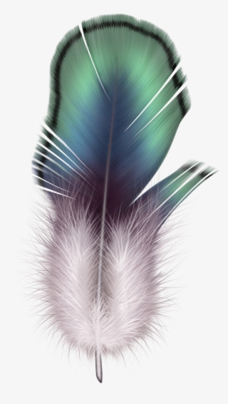 Яндекс - Фотки - Floating Feather Clipart Transparent Background #174533