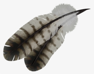 Feather Png - Native Feather Transparent Background #174557