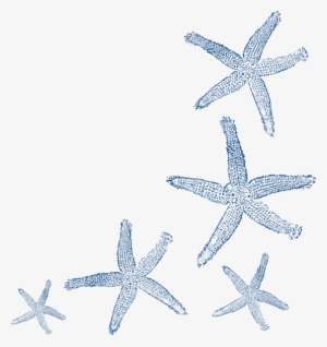 Starfish Prints Clip Art - Teal Starfish #174558