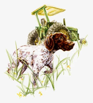 German Shorthair Pointer ~ Watercolor - Watercolor Painting #174988