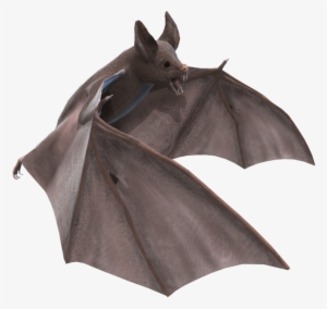 Vectors - Bat Png #175443