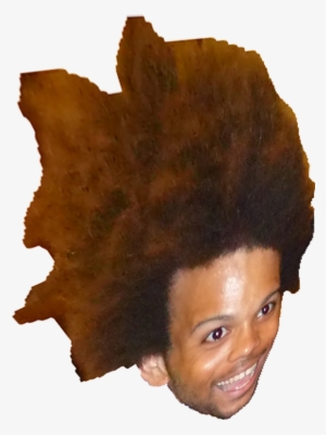 Trihard - Lace Wig #175714