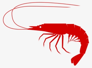 Transparent Library Medium Image Png - Seafood Clip Arts #175832