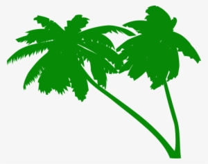 Palms,coconut Tree,coconut - Green Palm Tree Vector #176322