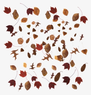 Then Right Click And Save To Your Hard Drive #176433