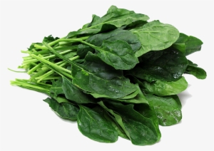 Free Download Free Png File Peoplepng Com - Spinach Png #176580