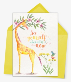 Download Giraffe Png Transparent Giraffe Png Image Free Download Page 3 Pngkey