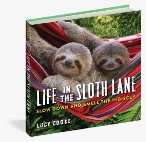 Life In The Sloth Lane - Life In The Sloth Lane: Slow Down #177064