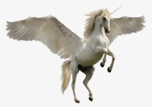 Fantasy - Unicorn Png #177119