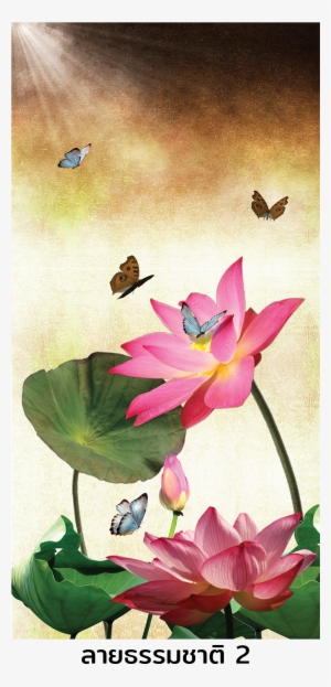 Nature2 - Sacred Lotus #177252