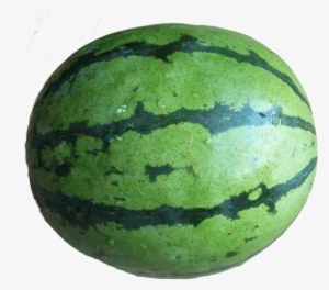 Free Png Water Lemon Full Png Images Transparent - Transparent Watermelon Full #177440