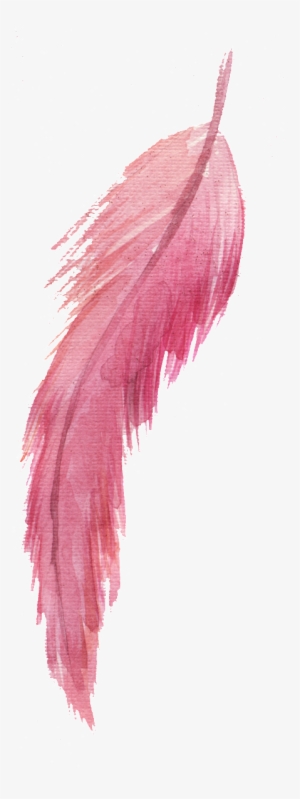 Red Feather Png Element - Portable Network Graphics #177441
