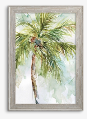 Coconut Palm - Palm Trees #177880