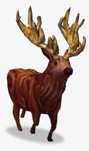 Red Deer - Elk #178129