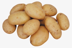 Potato Png #178311