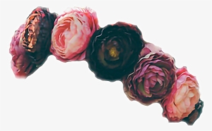 Black Flower Crown Png Flowercrown Red Aesthetic Report - Red #178432