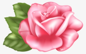 Pink Rose Transparent Png Clip Art Imageu200b Gallery #178706